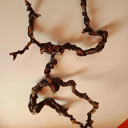 Rincon Oasis Villa Nazaret